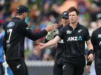 为津门虎的 为津门虎的