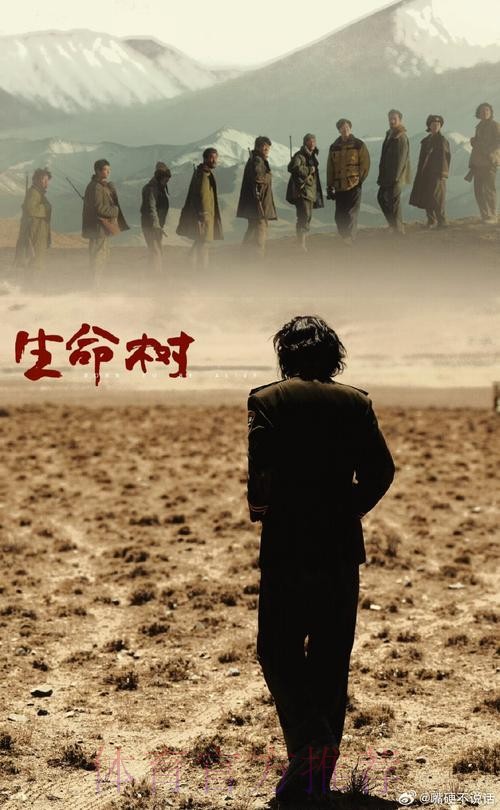 奇迹背后的心酸 在伤痛中前进的北京女队